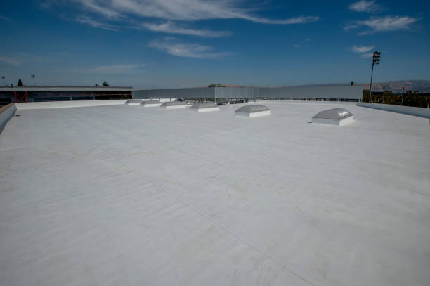 Best Roof Coating and Sealing  in Sarand, AL