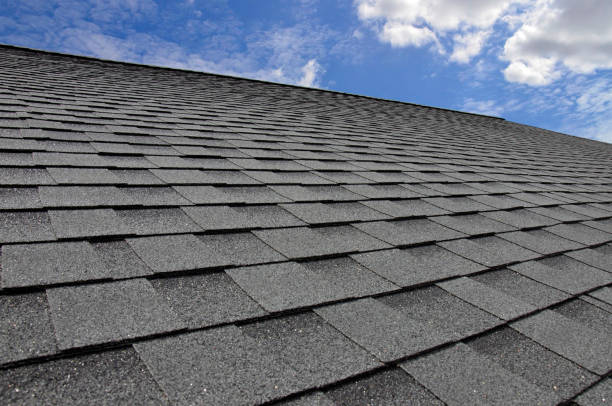 Best Roof Maintenance and Cleaning  in Sarand, AL