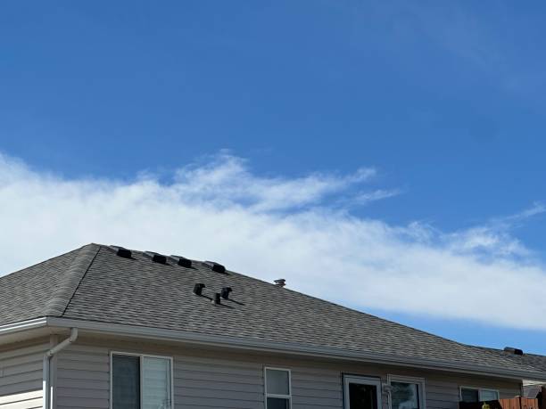 Best Rubber Roofing (EPDM, TPO)  in Sarand, AL